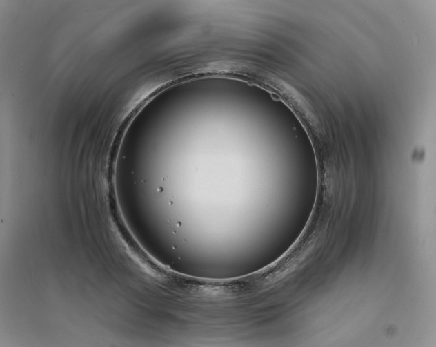 X0000094430794200711151341