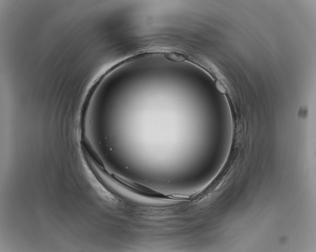 X0000094430795200711151341