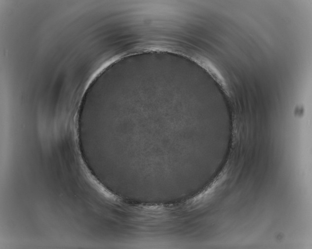 X0000094430798200711151341