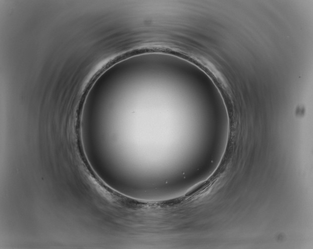 X0000094430799200711151341