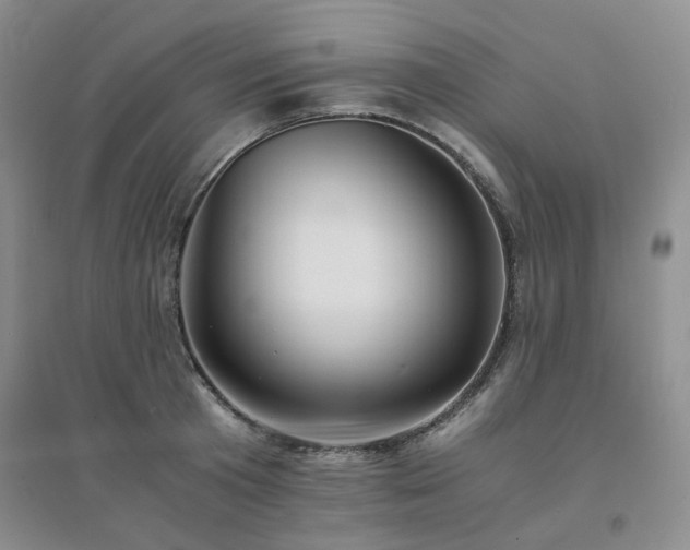 X0000094430801200711151341