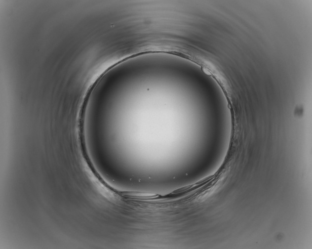 X0000094430803200711151341