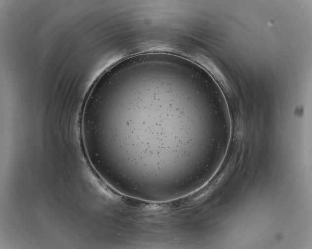 X0000094430806200711151341