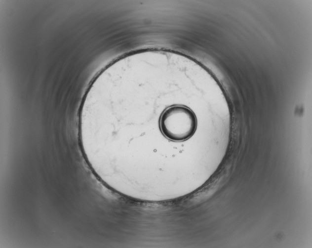 X0000094430807200711151341