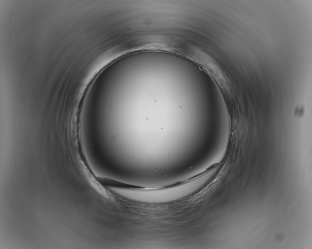 X0000094430808200711151341