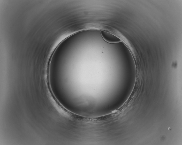 X0000094430811200711151341
