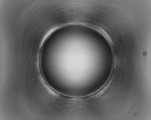 X0000094430812200711151341