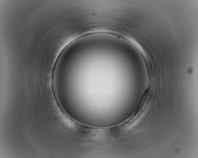 X0000094430813200711151341