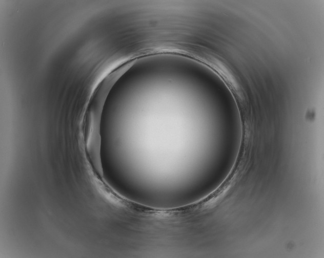 X0000094430814200711151341