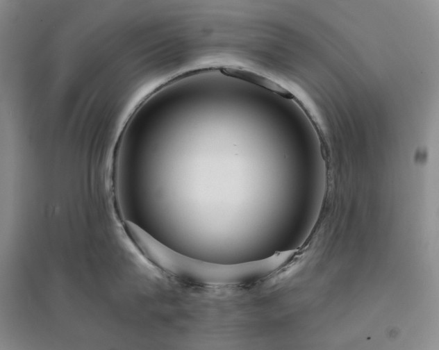 X0000094430815200711151341