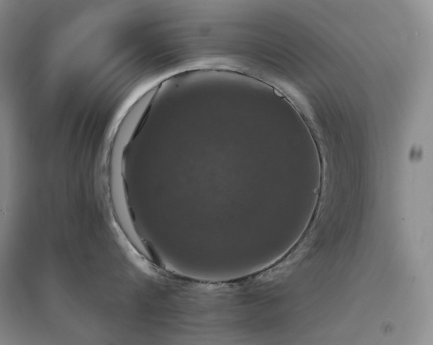 X0000094430816200711151340
