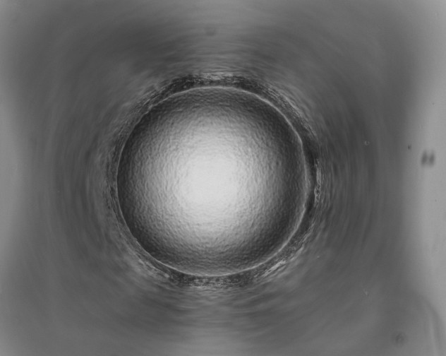 X0000094430817200711151340