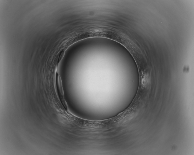 X0000094430819200711151340