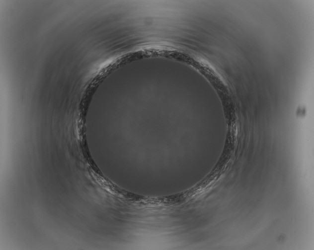 X0000094430822200711151340