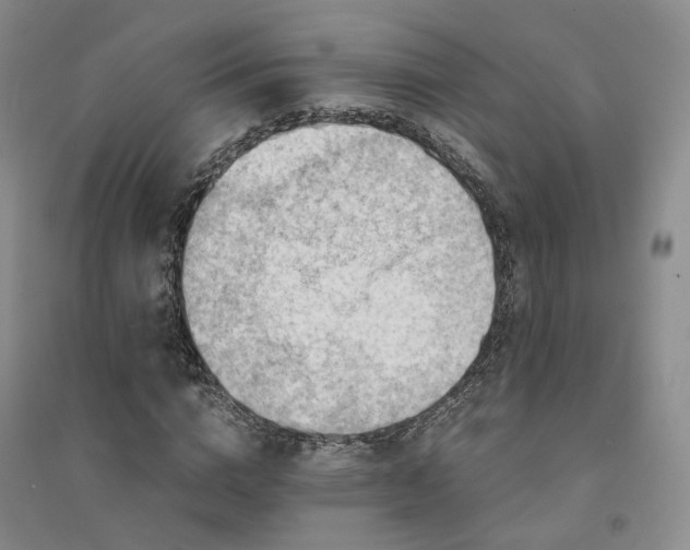 X0000094430824200711151340