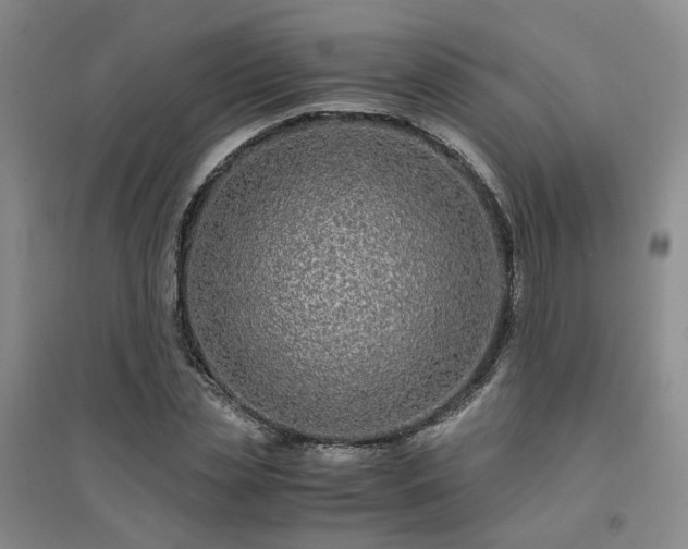 X0000094430829200711151340