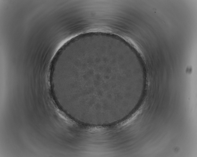 X0000094430830200711151340