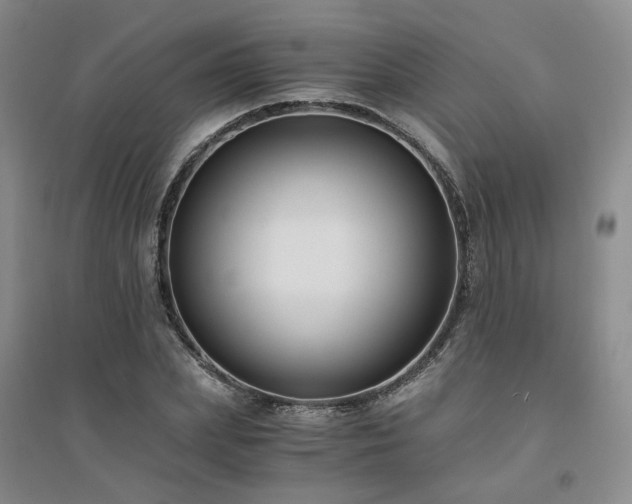 X0000094430831200711151340