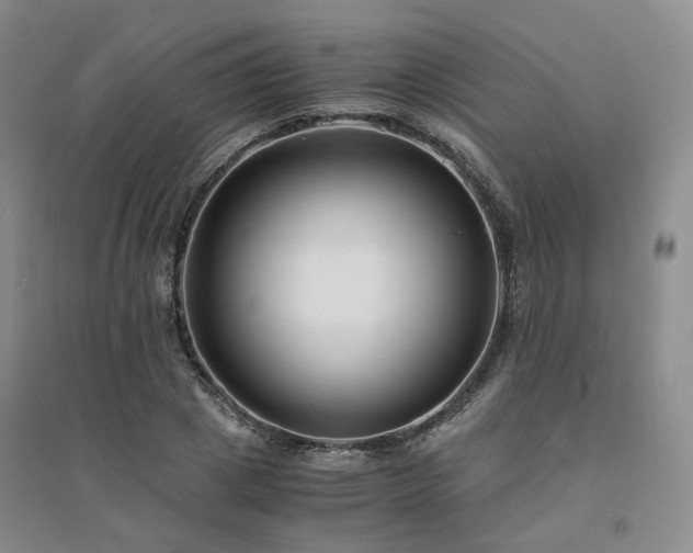 X0000094430833200711151340