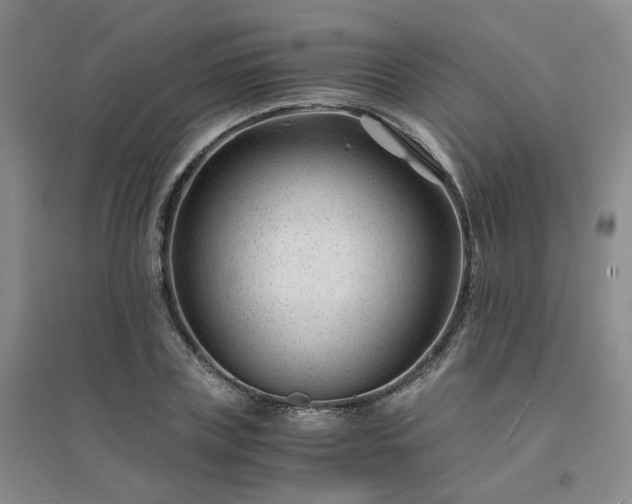 X0000094430835200711151340