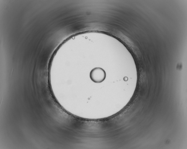 X0000094430836200711151340