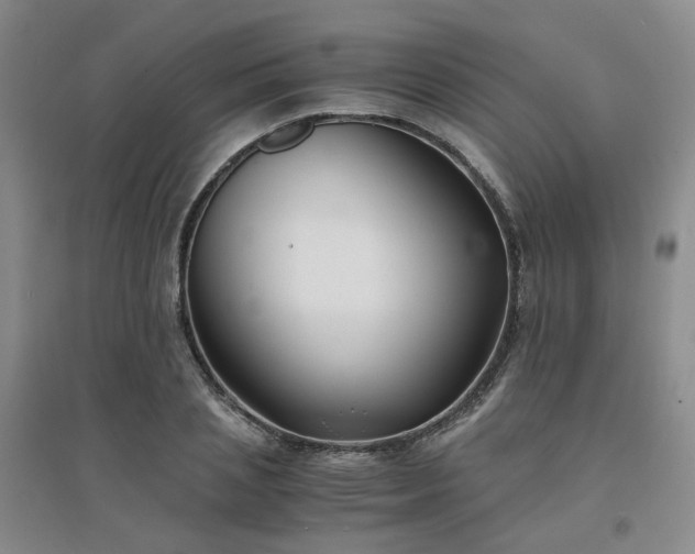 X0000094430837200711151340