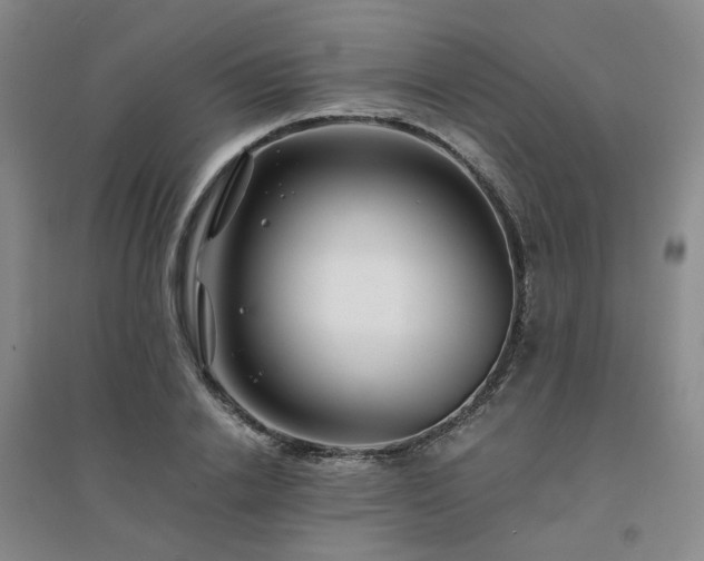 X0000094430838200711151340