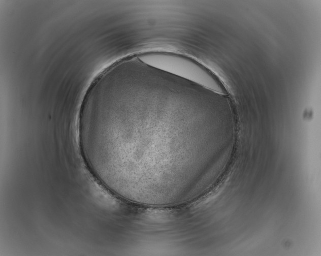 X0000094430840200711151340