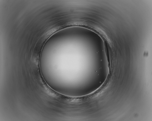 X0000094430841200711151340