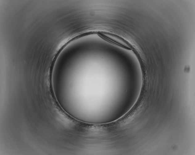 X0000094430842200711151340