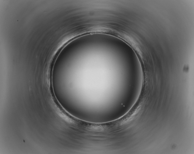 X0000094430843200711151340