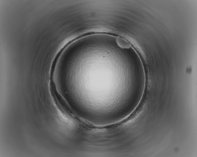 X0000094430845200711151340