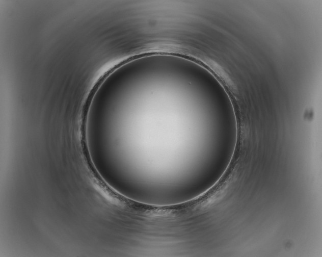 X0000094430846200711151340