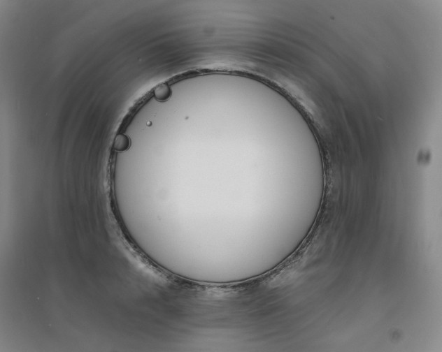 X0000094430848200711151340