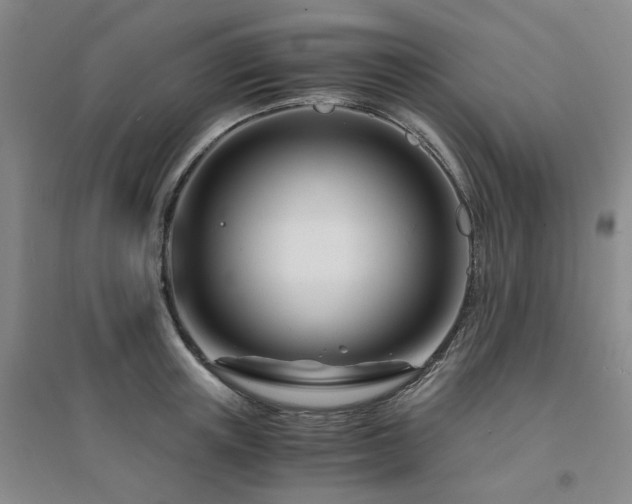 X0000094430851200711151340
