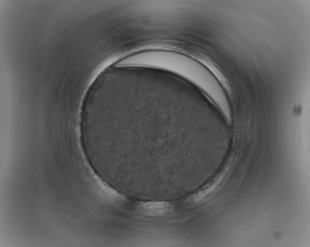 X0000094430853200711151340