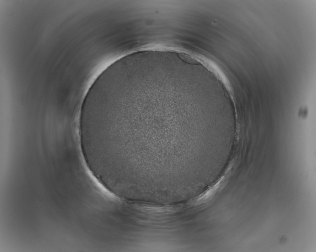 X0000094430855200711151340