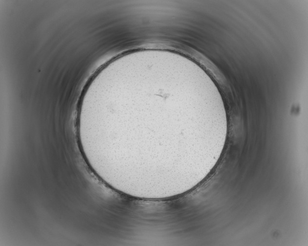 X0000094430856200711151340