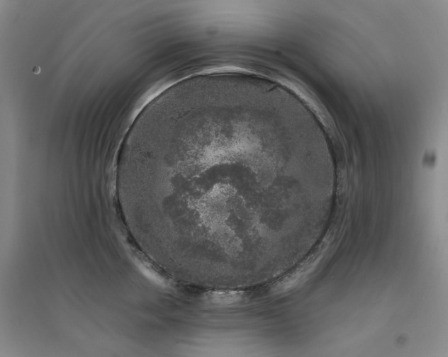 X0000094430858200711151340