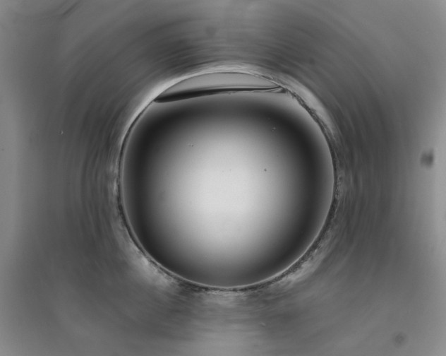 X0000094430860200711151340