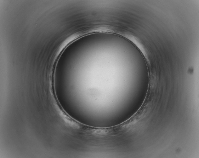 X0000094430861200711151340