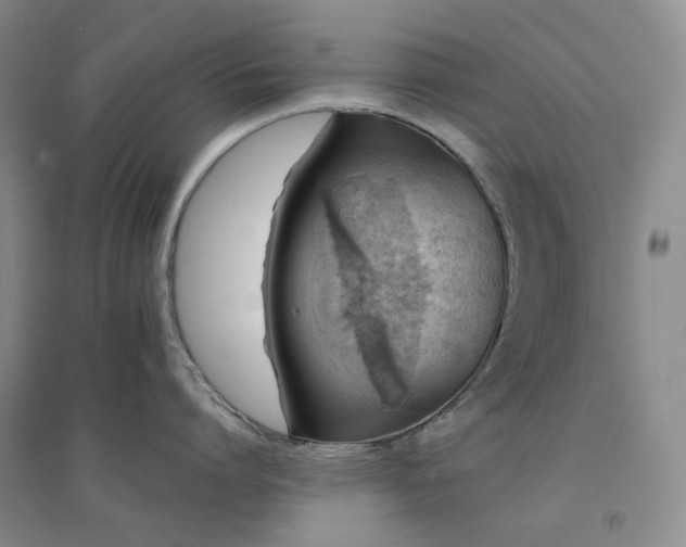 X0000094430864200711151340