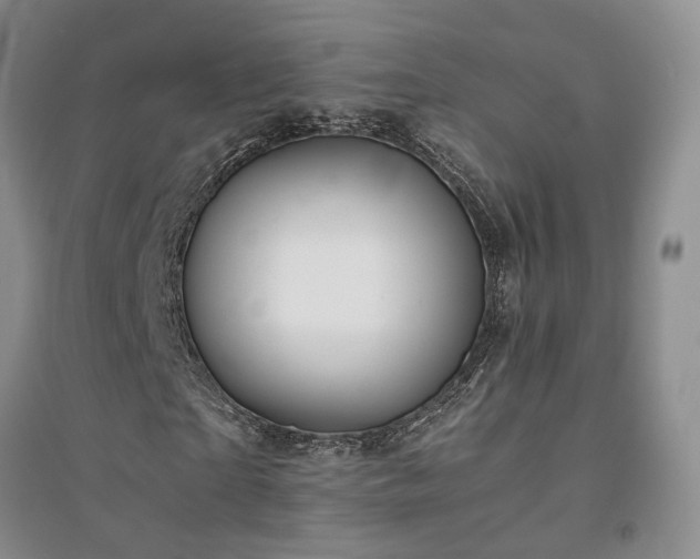X0000094430865200711151340