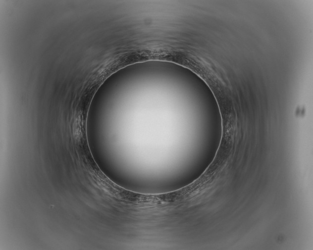 X0000094430866200711151340