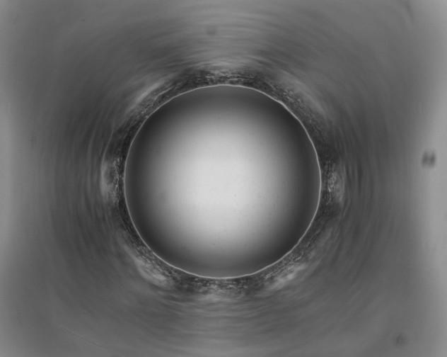 X0000094430868200711151340