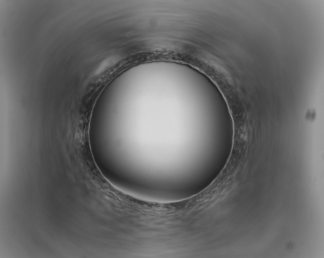 X0000094430869200711151340