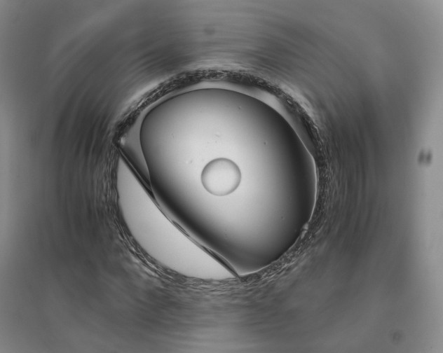 X0000094430872200711151340