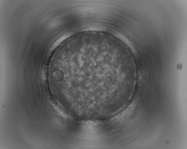 X0000094430874200711151340