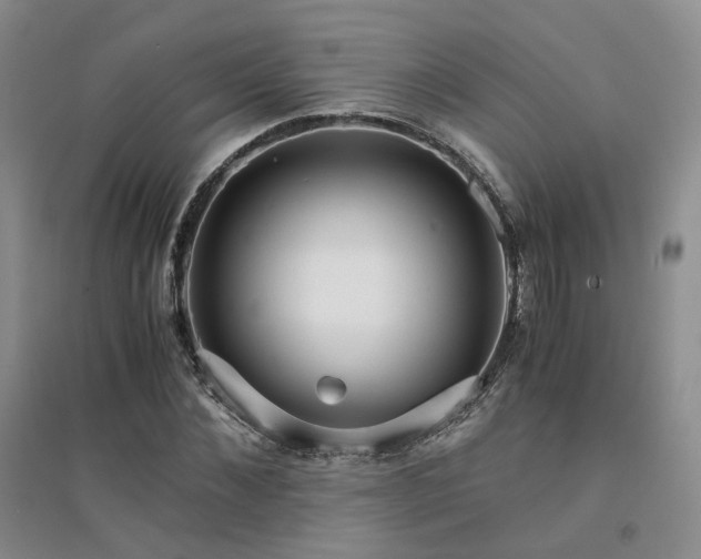 X0000094430876200711151340