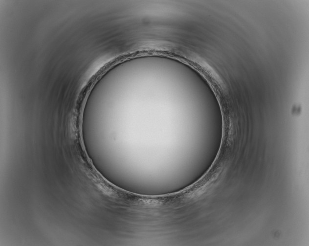X0000094430878200711151340